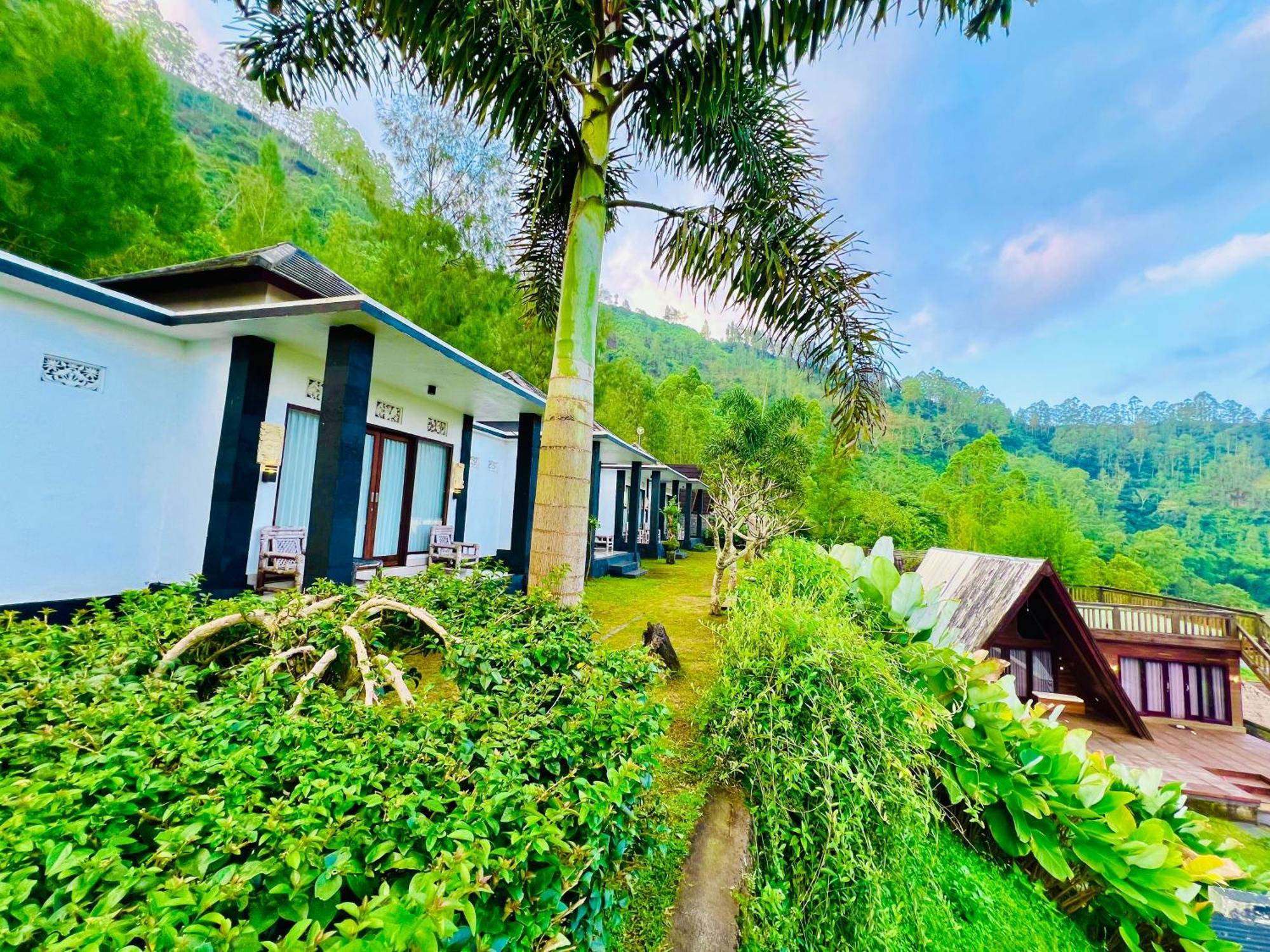 Lodge Batur Cliff Panorama